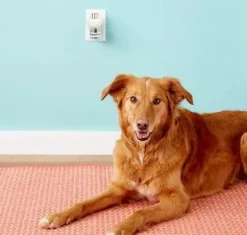 Adaptil Calm Home Diffusor 48 ml til hund