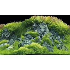 Hobby Akvariebaggrund Beplantet flod / Grønne klipper (50 cm høj) 100 cm
