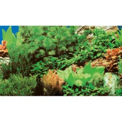 Hobby Akvariebaggrund Marin blue / Plant 8 (50 cm høj) 100 cm