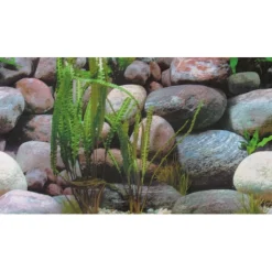 Hobby Akvariebaggrund Sten 1/2 (50 cm høj) 100 cm