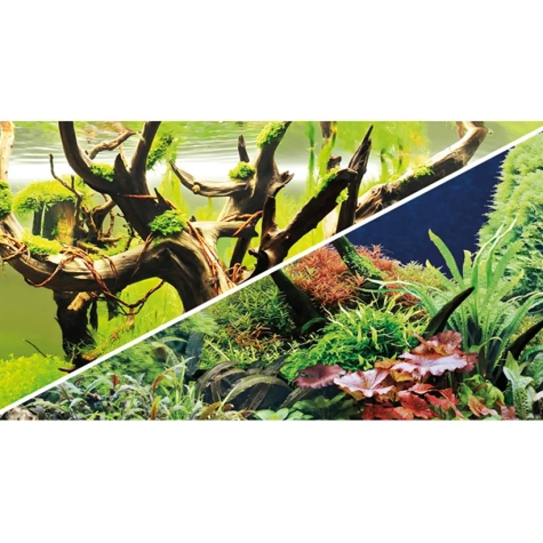 Hobby Akvariebaggrund Wood Island / Green secret (50 cm høj) 100 cm