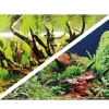 Hobby Akvariebaggrund Wood Island / Green secret (60 cm høj) pr meter