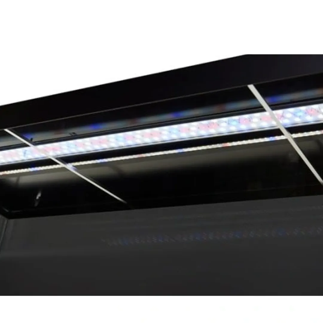 Akvastabil ELEMENT Akvarium 144 L Hvid