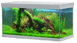 Akvastabil Fusion 250 liter akvarium