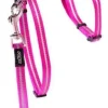 Rogz Allecat Kattesele og Linesæt 24-40 cm 1,8 m 11 mm Pink