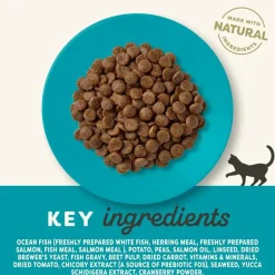 Applaws Hund & Katte mad Applaws Kattefoder Havfisk & Laks 1,8 kg