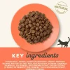 Applaws Hund & Katte mad Applaws kattefoder Kylling og Laks 2 kg