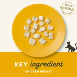 Applaws Hund & Katte mad Applaws Kattegodbid Frysetørret Kylling 10 gram