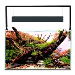 Aquael Akvarie og Lampe Ultra Scape 60 Forest