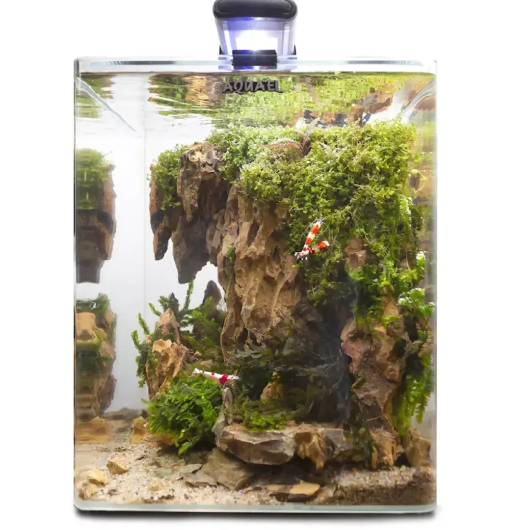 Aquael Akvarie Opti Bent Sort 30 Liter
