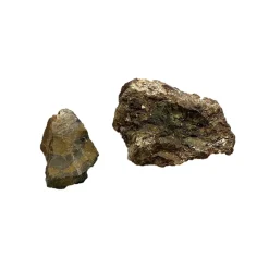Dekoration til Akvarier og Terrarier AquaScaping sten Wood Fossil pr kg