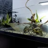 Repti Planet Aqua Terrarium 80x35x30,5 cm til Sumpskildpadder