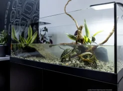 Repti Planet Aqua Terrarium 80x35x30,5 cm til Sumpskildpadder