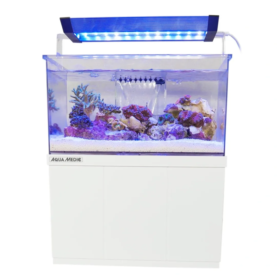 Aqua Medic Armatus XS Saltvandsakvarium med sump 4 Liter
