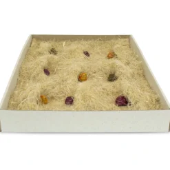 JR Farm Back to Instinct Gnaver Aktivitetstæppe