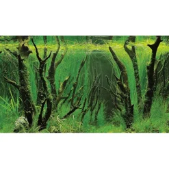 Hobby Baggrund til akvarium Canyon og Woodland (30 cm høj) 60 cm
