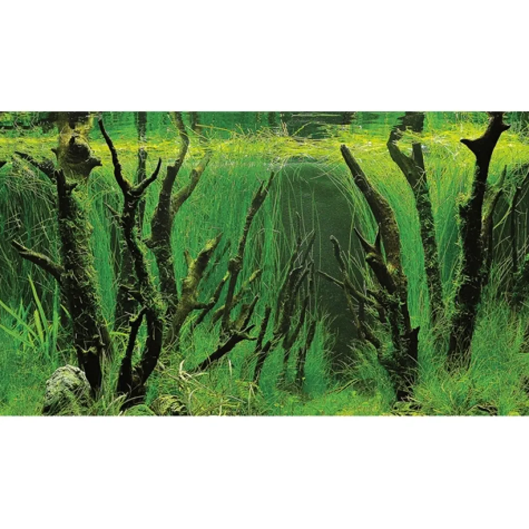 Hobby Baggrund til akvarium Canyon og Woodland (50 cm høj) 100 cm