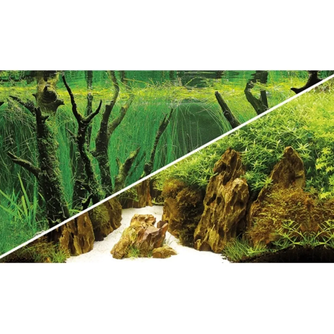 Hobby Baggrund til akvarium Canyon og Woodland (50 cm høj) 100 cm