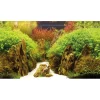 Hobby Baggrund til akvarium Canyon og Woodland (50 cm høj) 120 cm