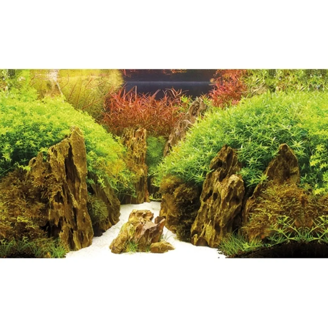 Hobby Baggrund til akvarium Canyon og Woodland (50 cm høj) 120 cm