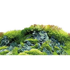 Hobby Baggrund til akvarium Scapers Hill og forest (50 cm høj) 120 cm