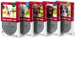 Bayvantic Vet hund 40-60 kg 4 x 6,0 ml