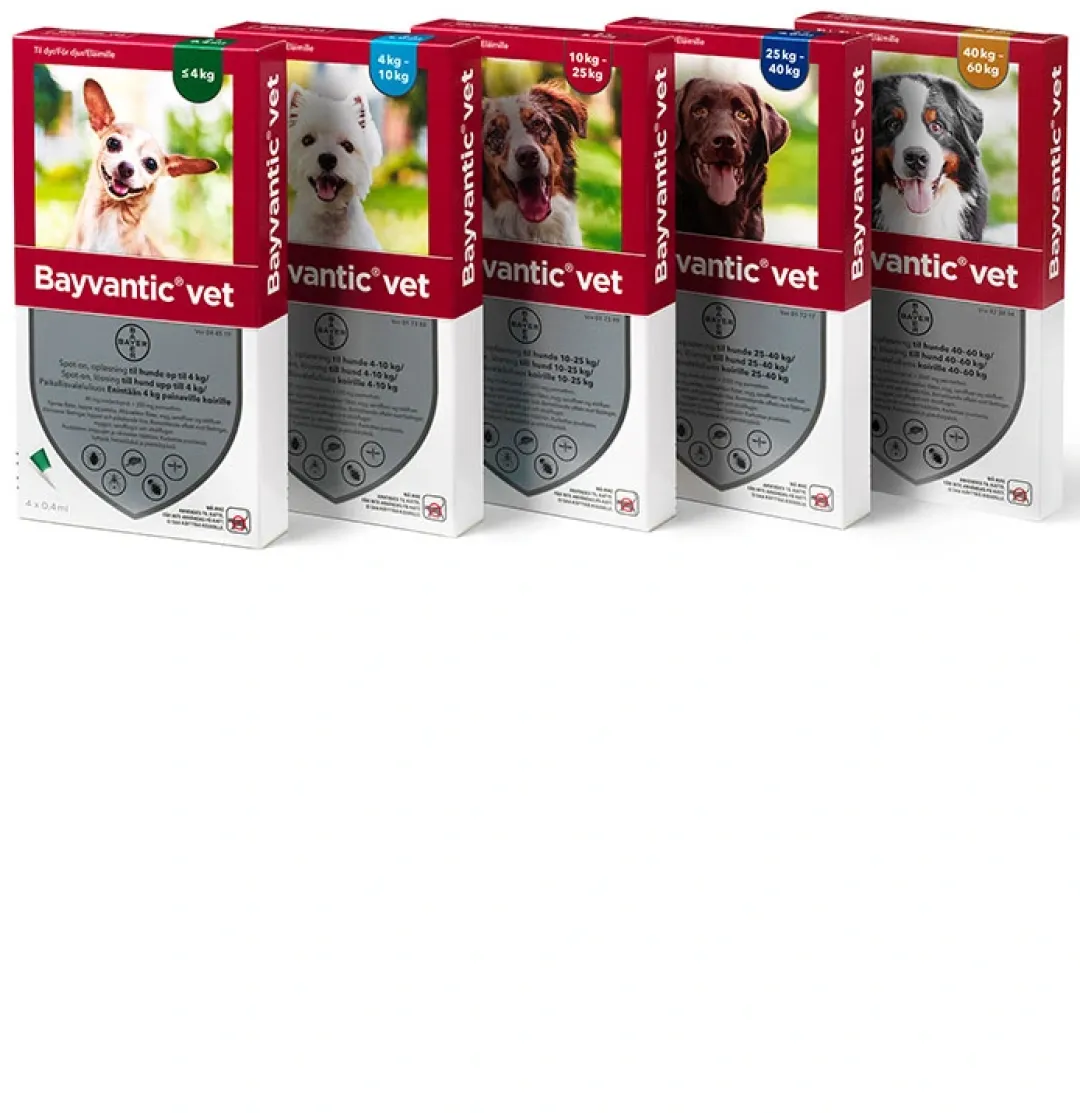 Bayvantic Vet hund 40-60 kg 4 x 6,0 ml