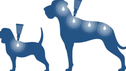 Bayvantic Vet hund 40-60 kg 4 x 6,0 ml