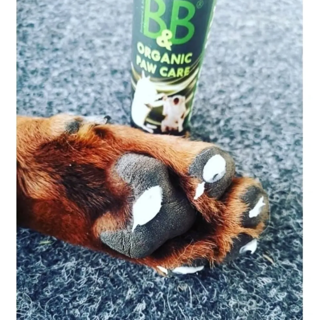 B&B Økologisk Hundeshampoo B&B Økologisk Potepleje