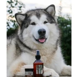 B&B Økologisk Hundeshampoo B&B Sølvvand 250 ml