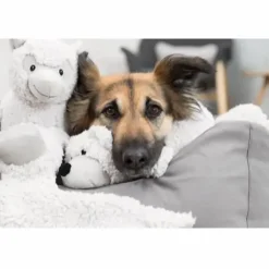 Trixie Be Eco Æsel Elenor - bamse i genbrugsplys til hunde
