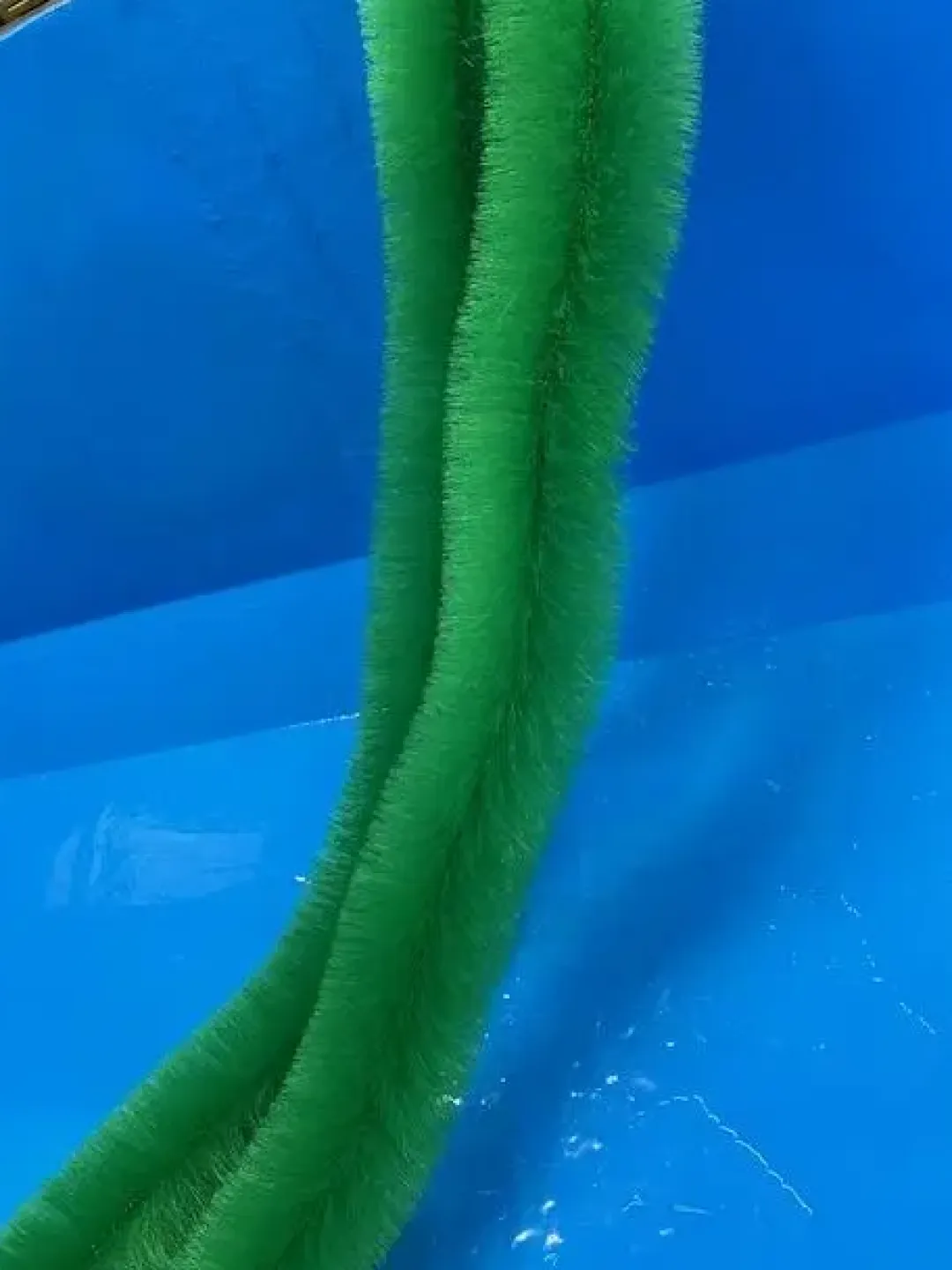 MiniZoo Black Knight Koi Gydebørste 250 cm ø 13 cm