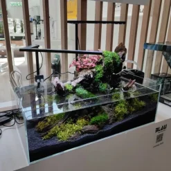 Blau - Aquaristic Blau Glasakvarium CUBIC Aquascaping Shallow 17 45x24x16 cm