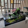 Blau - Aquaristic Blau Glasakvarium CUBIC Aquascaping Shallow 44 62x36x20 cm