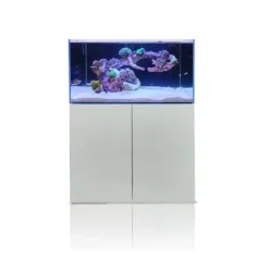 Blau - Aquaristic Blau Gran Cubic Super Reef 122 White 366 liters Saltvandsakvarium