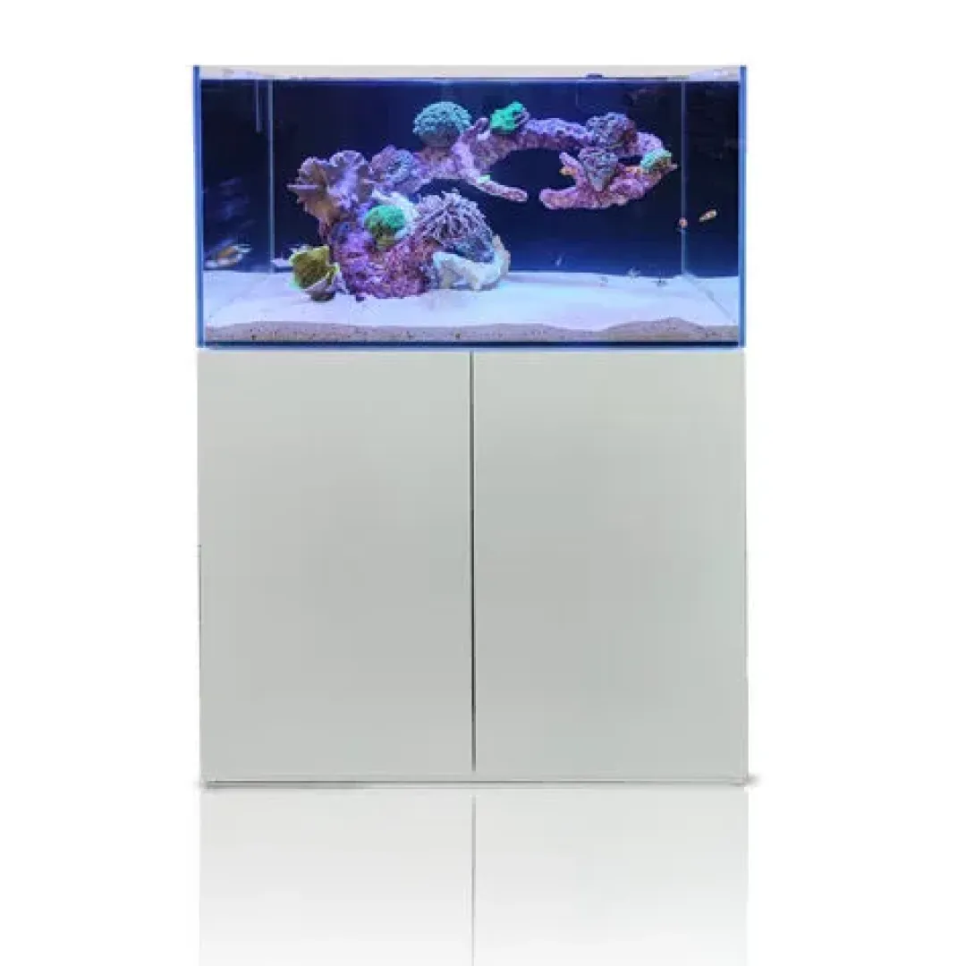 Blau - Aquaristic Blau Gran Cubic Super Reef 92 White 276 liters Saltvandsakvarium