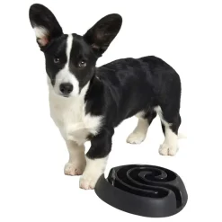 Buster dogmaze (sort)