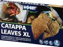 Hobby Catappa Leaves XL