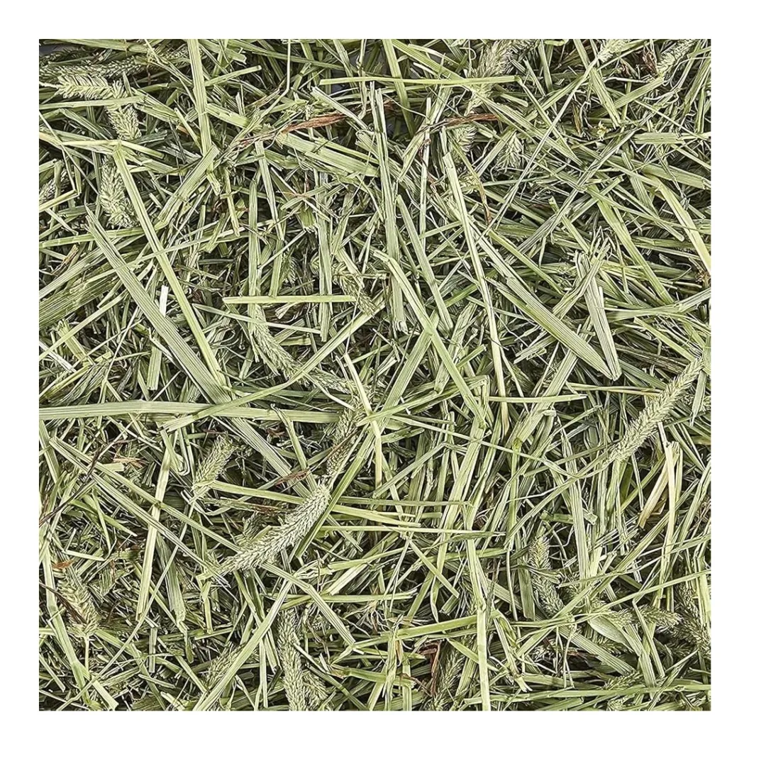 CHIPSI CLASSIC Chipsi Sunshine Timothy Hø 800 g
