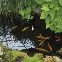 Pondteam CombiClear 3000 havedamsfilter