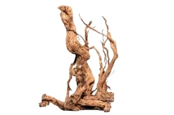 Dekoration til Akvarier og Terrarier Curl Wood Krøllet træ Medium