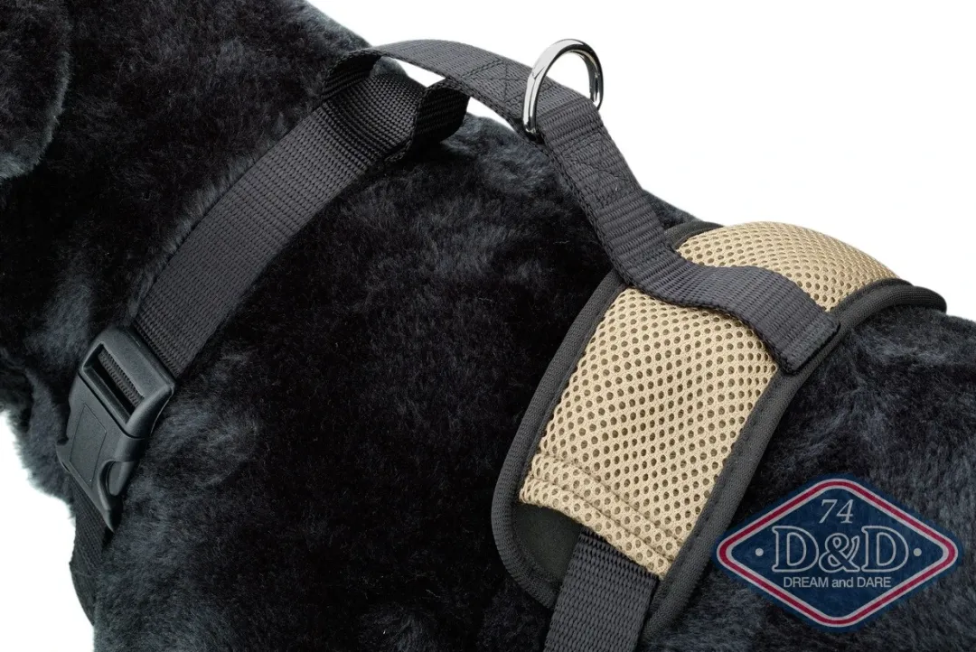 Europet Bernina International B.V. D & D All Season Hundesele L - Hals 50-71 cm livvidde 62-84 cm