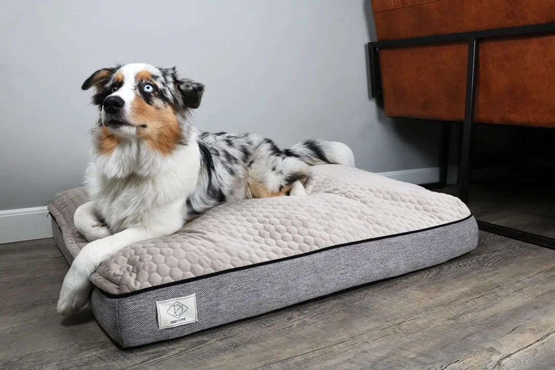 Europet Bernina International B.V. D&D Home Celia hundeseng Taupe stor 120x90x15 cm