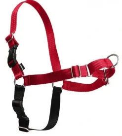 Petsafe Easy Walk Hundesele Rød M - Bryst 30-38 cm