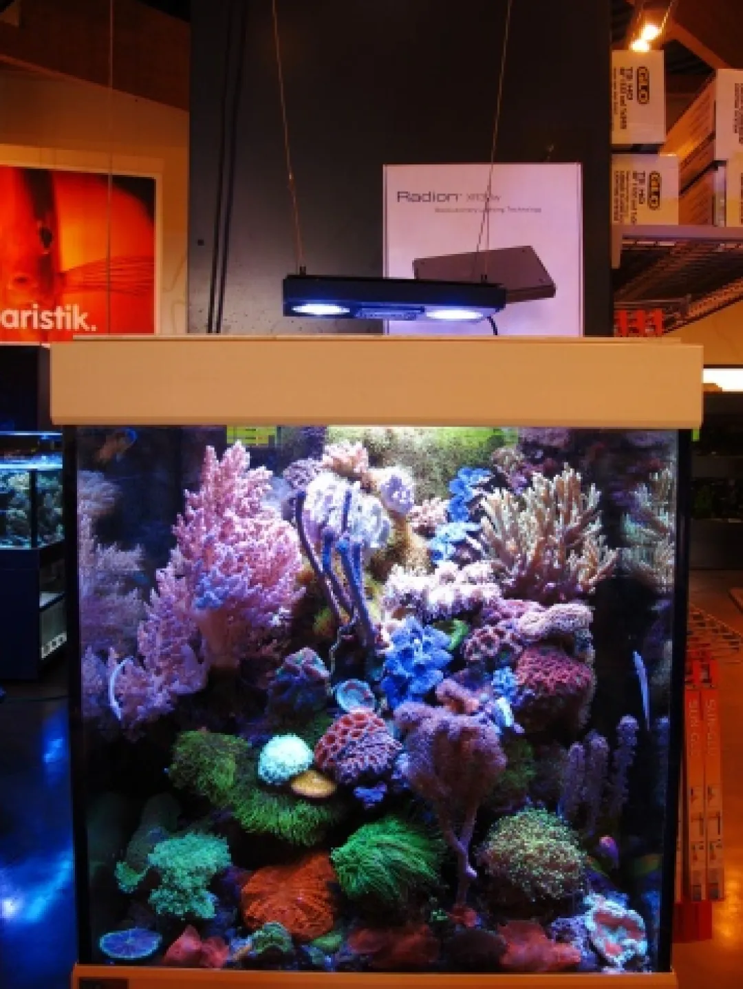 MiniZoo EcoTech Marine Radion XR30W 150 Watt