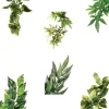 ExoTerra Exo Terra Abuliton medium