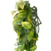 ExoTerra Exo Terra Amapallo lille