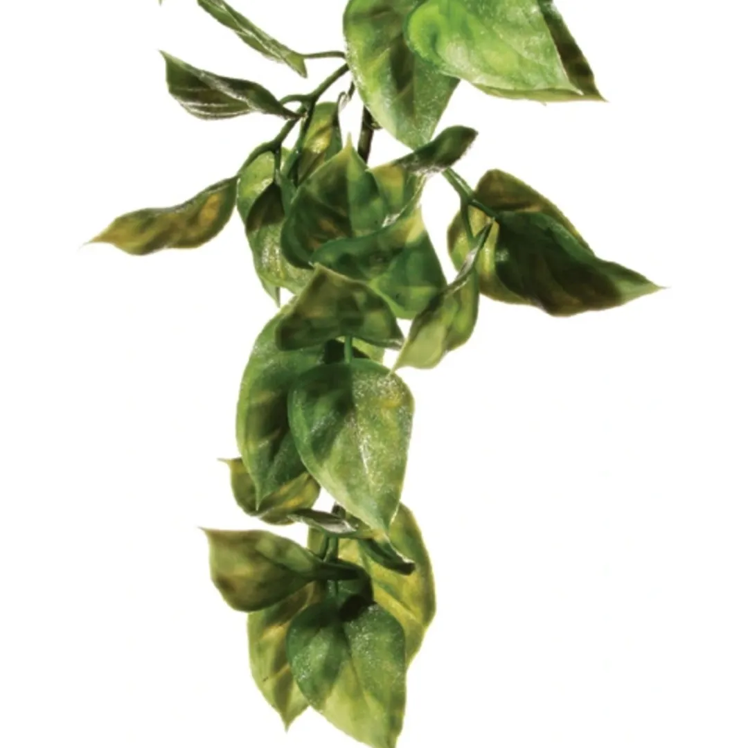 ExoTerra Exo Terra Amapallo medium