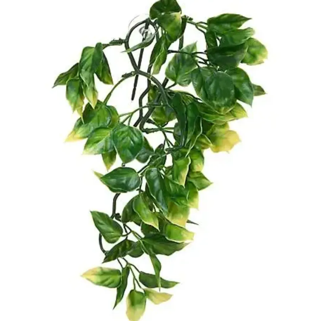 ExoTerra Exo Terra Amapallo medium