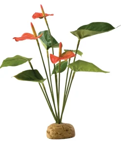 ExoTerra Exo Terra Anthurium bush